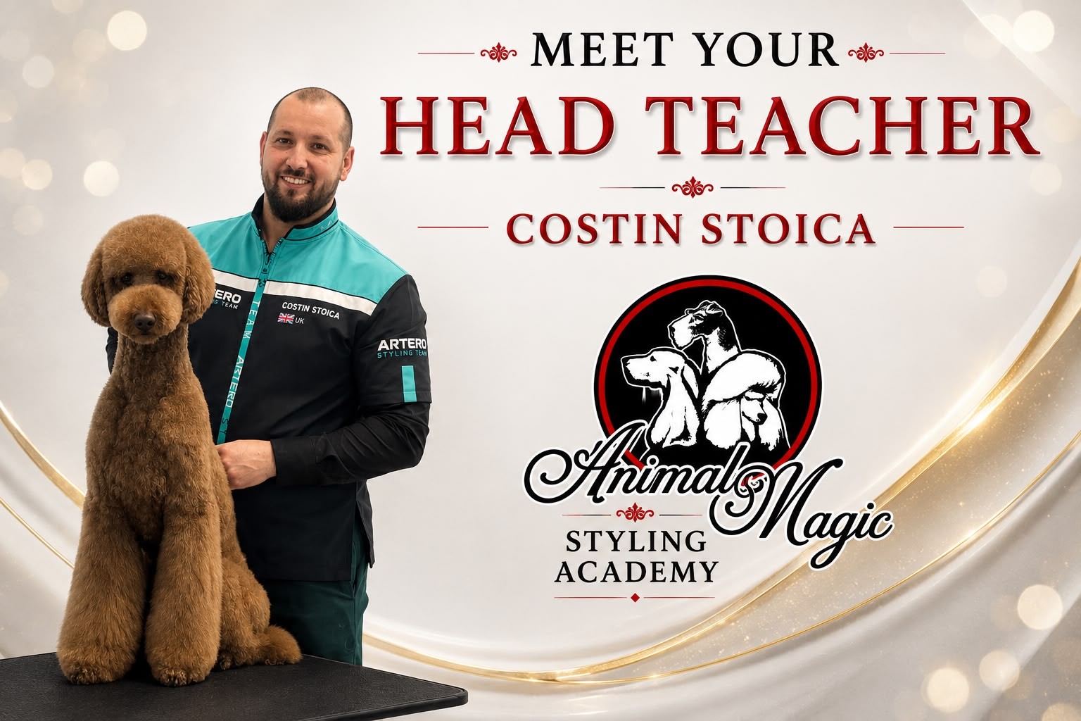Meet your head teacher, Costin Stoica, with a groomed poodle and the Animal Magic Styling Academy logo